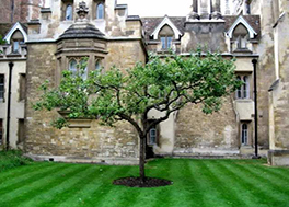 徐州华顿国际学校