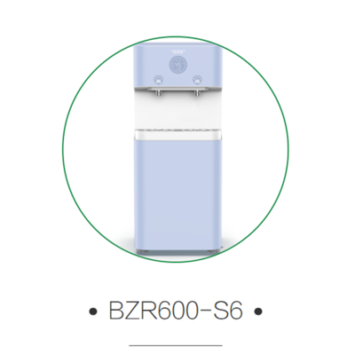 BZR600-S6